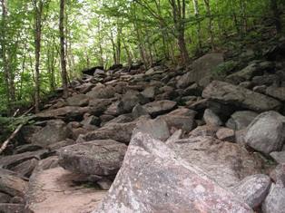 White Cross Trail